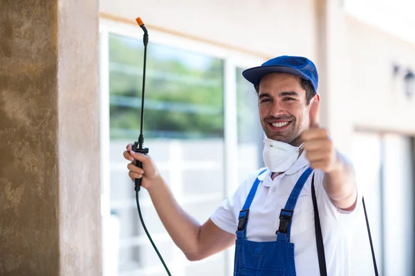 Stevenson Ranch Wasp Removal