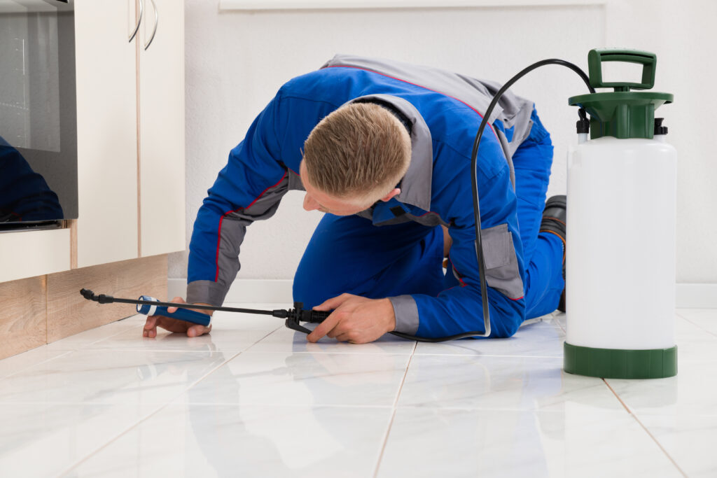 Stevenson Ranch Ant Control Xperts