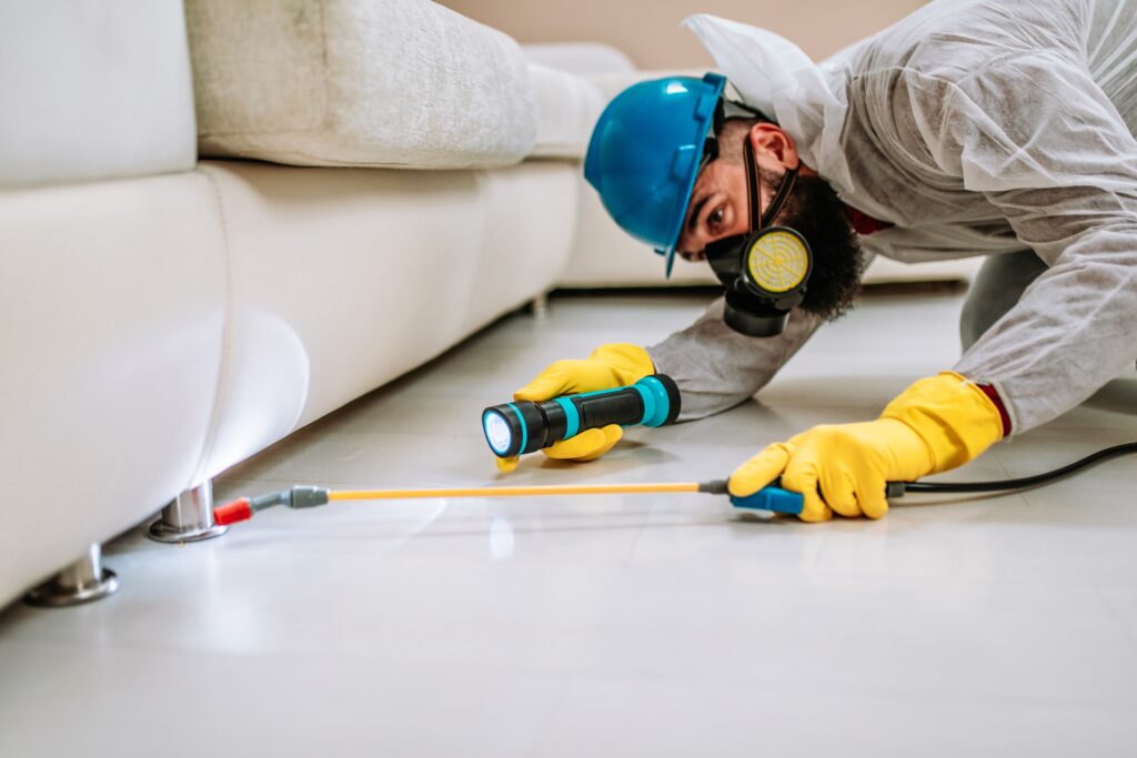 Stevenson Ranch Termite Control