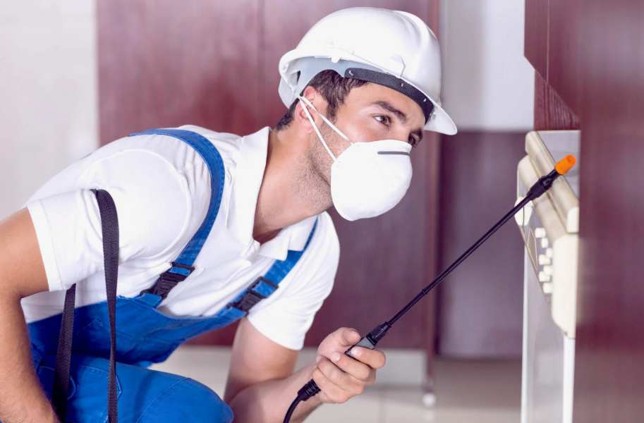 Stevenson Ranch local pest services