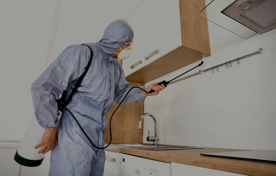 Stevenson Ranch pest managment
